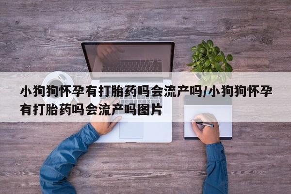 药流药微信资讯 第17页