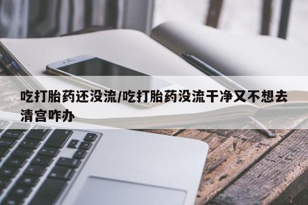药流药微信吃打胎药还没流/吃打胎药没流干净又不想去清宫咋办