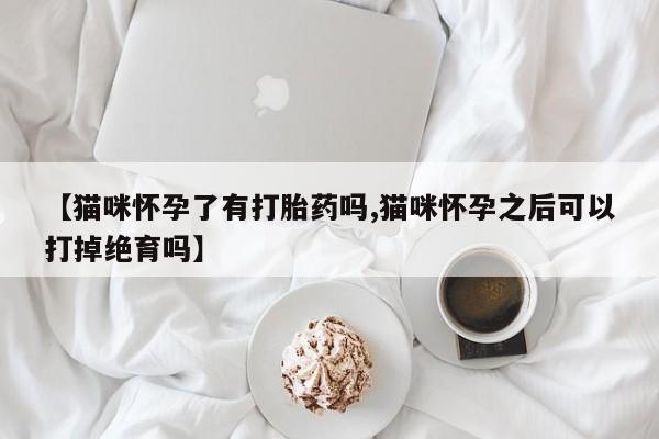 药流药微信【猫咪怀孕了有打胎药吗,猫咪怀孕之后可以打掉绝育吗】