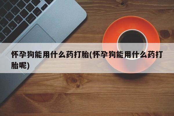 药流药微信怀孕狗能用什么药打胎(怀孕狗能用什么药打胎呢)