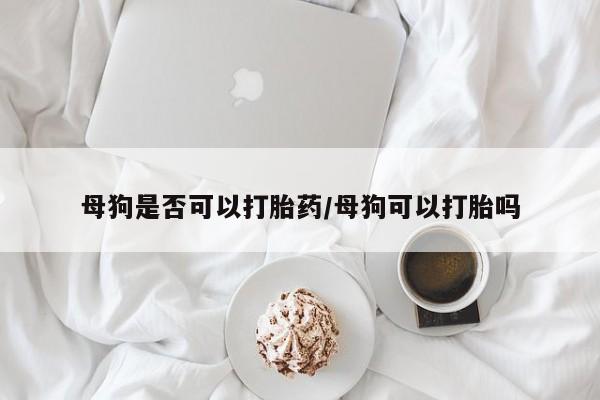 药流药微信母狗是否可以打胎药/母狗可以打胎吗