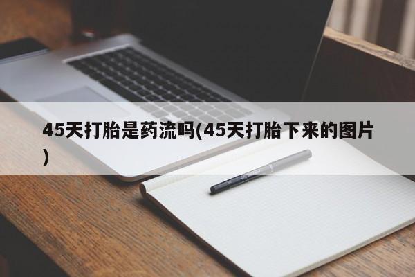 admin 第179页